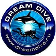 Dream Dive группа в Моем Мире.