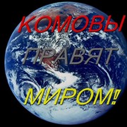 Комовы group on My World