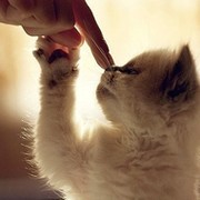 Любители животных группа в Моем Мире.