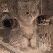 Татьяна Климова on My World.