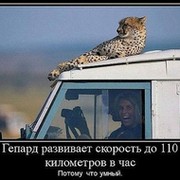 Светлана Sweet on My World.