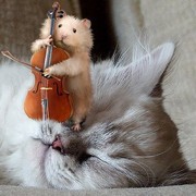 Константин Макушин on My World.