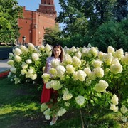 Юлия Малышева on My World.