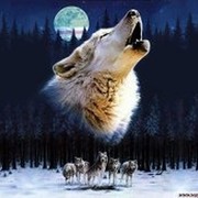 Андрей Приходько on My World.