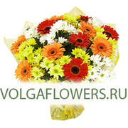 Волгоград цветы VolgaFlowers.ru on My World.