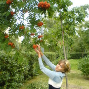 Елена Асауленко on My World.