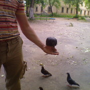 Alex Buzian on My World.
