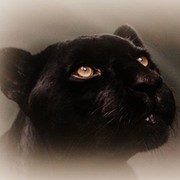 Светлана Ченюк on My World.