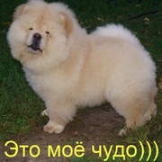 Ирина Печатнова on My World.