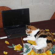 Фрида *** on My World.