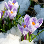 Ирина ``` on My World.