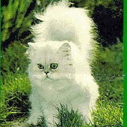 !A.G.W.! Оксана Иогелим on My World.