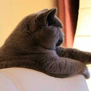 Илья Котов on My World.