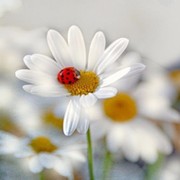 Любовь Мелентьева on My World.