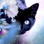 Рита *** on My World.