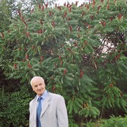 Lev Knezevic on My World.