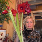 Нина  Шпакова on My World.