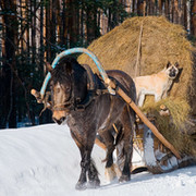 Максим Савченко on My World.