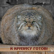 кот апрельский on My World.