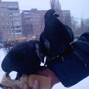 Таисия ZTN on My World.