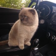 валерий корчагин on My World.