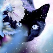 Valery Miss   ЗФ on My World.